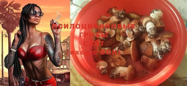 гашик Балахна