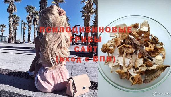 гашик Балахна