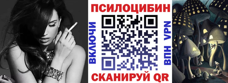 Купить закладки  Судак  Псилоцибиновые грибы ЛСД 